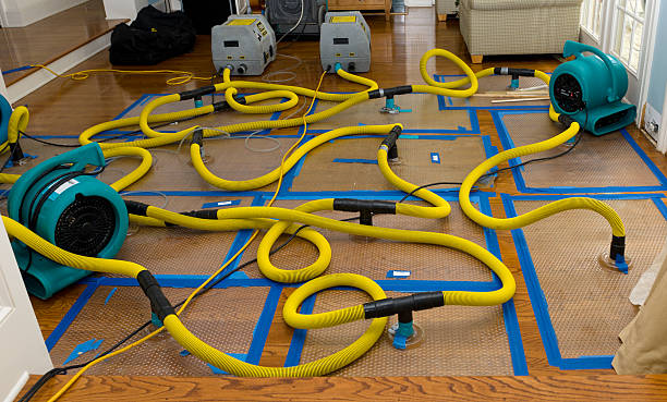 Professional Crawl Space Water Removal technician working in Minooka, IL